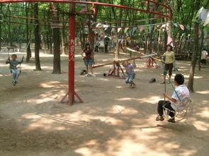 黄河公园爆料视频播放,揭秘公园美景与神秘事件 第3张 黄河公园爆料视频播放,揭秘公园美景与神秘事件 第3张